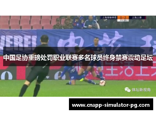 中国足协重磅处罚职业联赛多名球员终身禁赛震动足坛