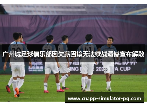 广州城足球俱乐部因欠薪困境无法续战遗憾宣布解散 广州城足球俱乐部因欠薪困境无法续战遗憾宣布解散